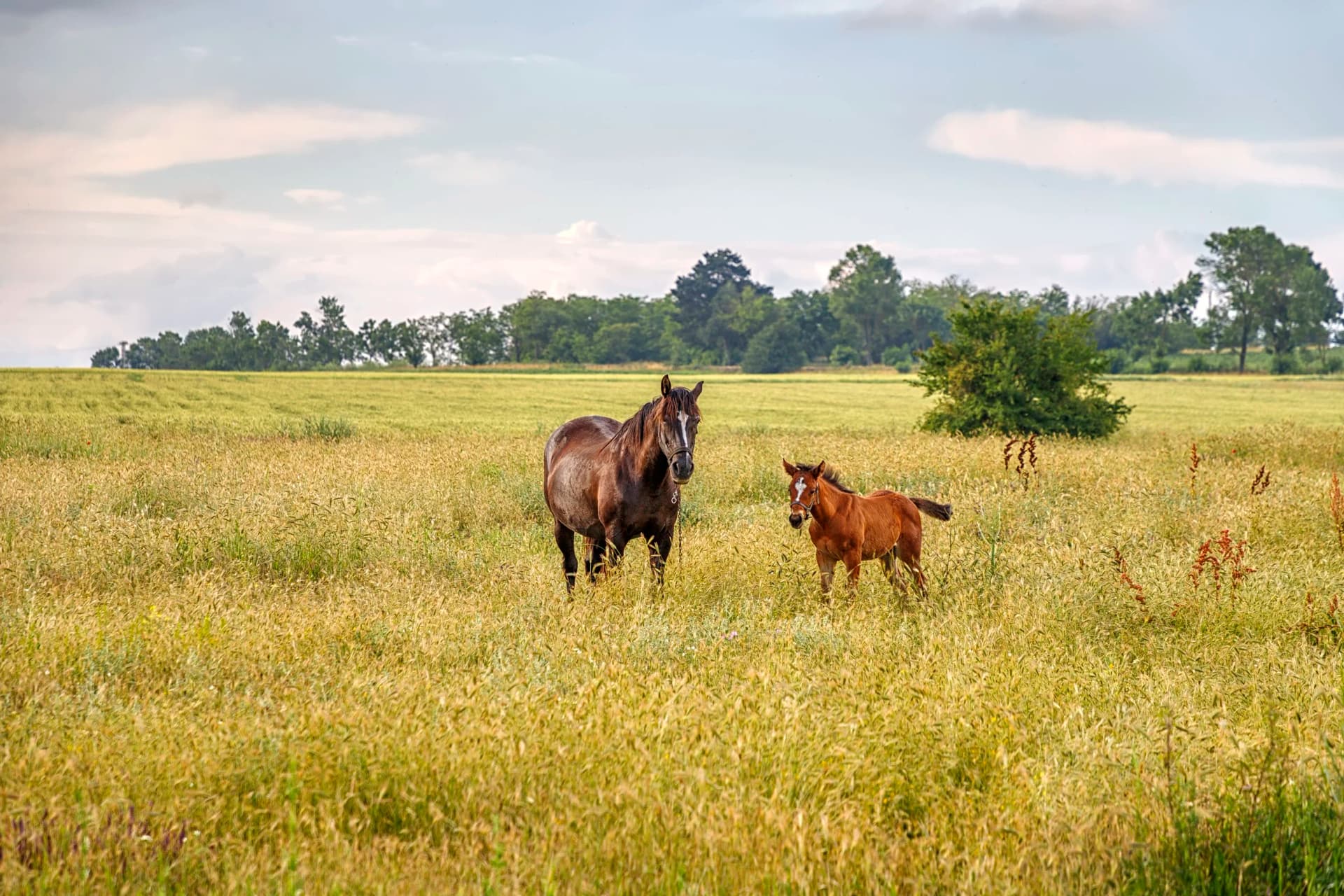 Beautiful Kentucky hills